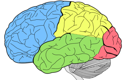 Importance of Mental Health