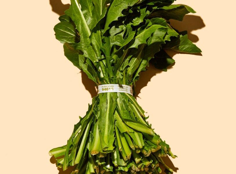 Cheaper Healthy Food Would Save Millions of Lives Cheaper Healthy Food Would Save Millions of Lives